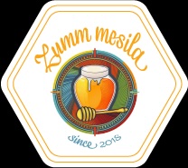 Zumm Mesila logo